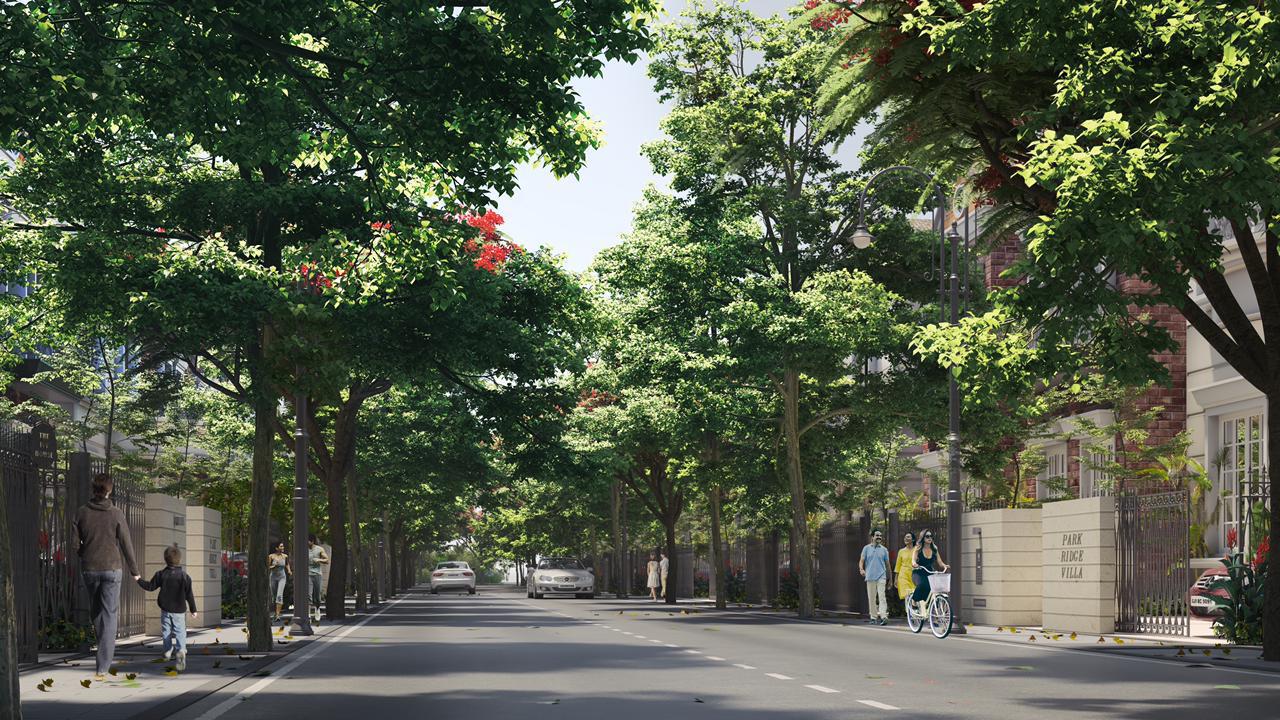 Terra La Pej Image 2